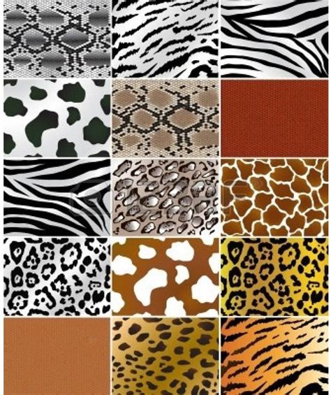 prada wild animal prints